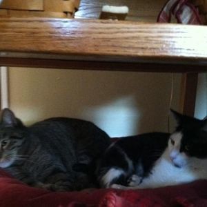 Meet your Posher, Christine